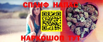 МДПВ Заводоуковск