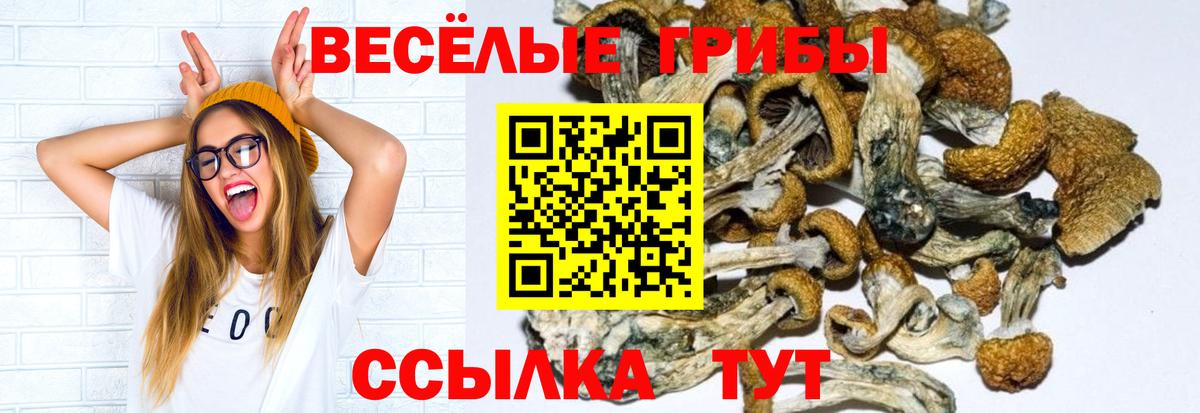 Псилоцибиновые грибы прущие грибы Среднеуральск